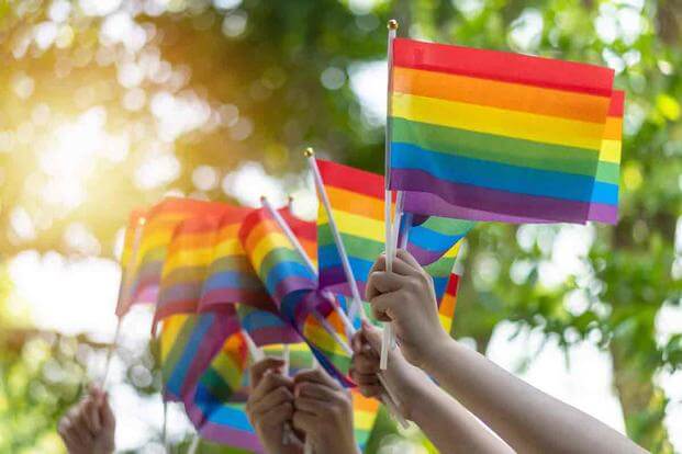 Rainbow flags are held up in celebration of Pride Month