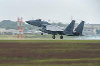 A U.S. Air Force F-15 Eagle from the 67th Fighter Squadron lands on the runway Nov. 16, 2016, at Kadena Air Base, Japan. (U.S. Air Force photo/Corey M. Pettis)