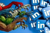 LinkedIn Power: Cranking Up Your Visibility