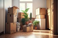 Cardboard boxes and potted houseplants are arranged in stacks