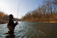 Fly fishing in North Fork River